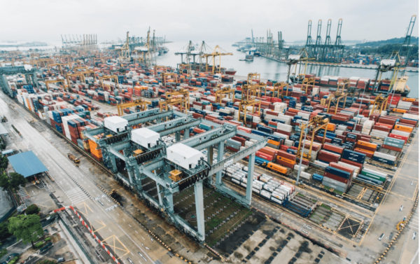 ECONOMY SHIPPING V STANDARD SHIPPING